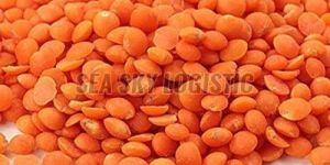 Red Masoor Dal