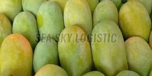 Valsadi Hafoos Mango