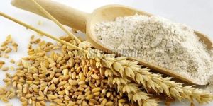 Wheat Flour