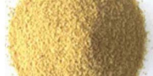 Soybean Meal
