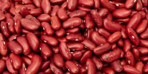 Red Kidney Bean