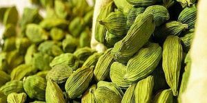 Green Cardamom Seeds