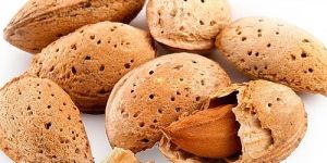 Shelled Almonds
