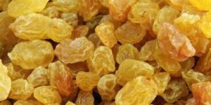 Yellow Dried Raisin