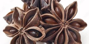 Star Anise Seeds