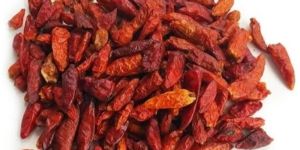 Bird Eye Chilli