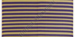 Stripe Polypropylene Mat