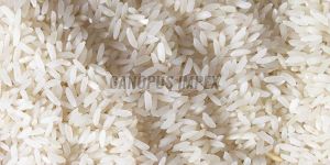 Sona Masoori Raw Rice