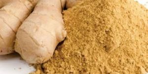Dehydrated Ginger Powder