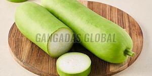 Fresh Bottle Gourd