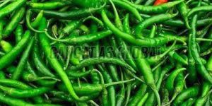 Fresh Green Chilli