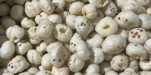 Special Phool Makhana