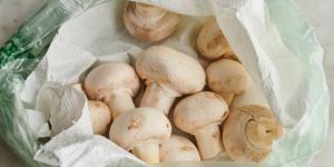 Fresh Button Mushroom