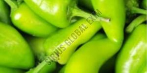 Small Bullet Green Chilli