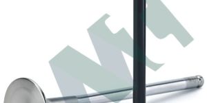 Engine Valve Sets (Inlet & Exhaust)