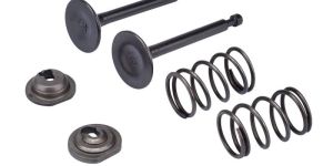 Engine Valve Springs