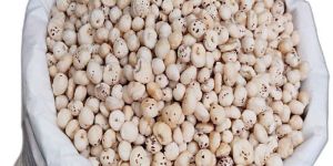 a Grade Phool Makhana