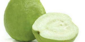 a Grade Fresh Green Guava