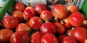 Fresh Bhagwa Pomegranate