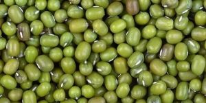 Whole Green Moong Dal
