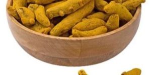Yellow Dried Turmeric Finger