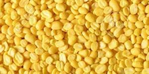 Yellow Split Moong Dal