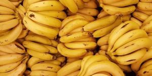 Fresh Yellow Banana
