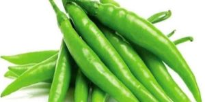 a Grade Green Chilli