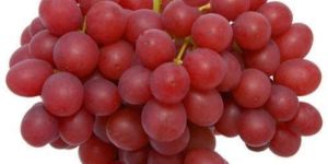 A Grade Red Grapes