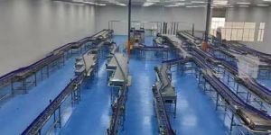 Automated Conveyor Belt System