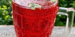 Kokum Soft Drink