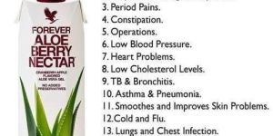 Forever Aloe Berry Nectar