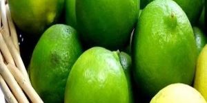 Green Lemons