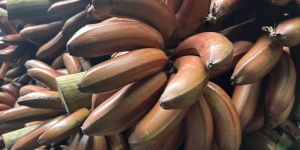 Red Banana