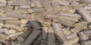 Mustard Husk Biomass Briquettes