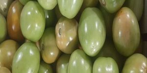 Fresh Green Tomato