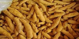 Selam Turmeric Finger