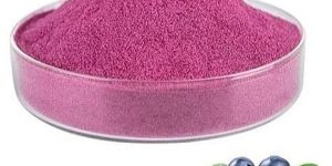 Spray Dried Blueberry Powder