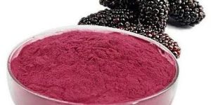 Spray Dried Mulberry Powder