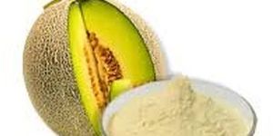 Spray Dried Muskmelon Powder