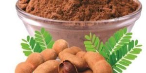 Spray Dried Tamarind Powder