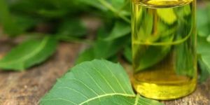Neem Oil