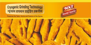 100gm Tanhaji Turmeric Powder