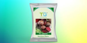 Hybrid Beetroot Seeds TG-Aristo