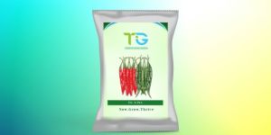 Hybrid Chilli Seeds TG-Lisa