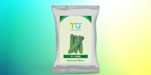 Hybrid Cucumber Seeds TG-Calibri