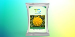 Hybrid Marigold Seeds TG-Emerald Yellow