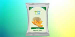 Hybrid Muskmelon Seeds TG-Icon