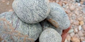 Rainforest Green Pebbles