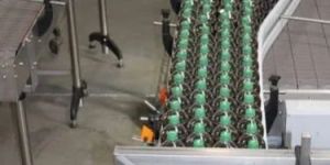 SS Screw Conveyors